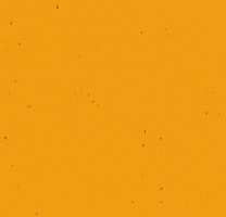 Линолеум Forbo Sphera Energetic 50210 mandarin фото 1 | FLOORDEALER